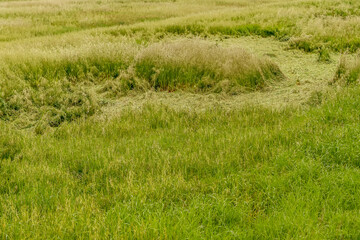 Aerial view of strange circular shapes in a green cultivated field