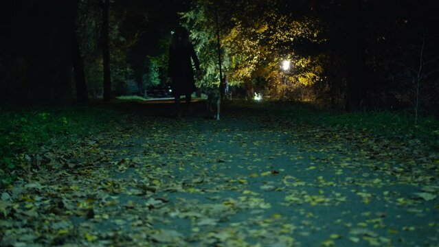 cinematic shot, creepy zombie woman with dog and hammer walks in the night park. horror. halloween. real evil.
