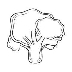 broccoli sketch icon
