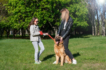 mom and daughter walk in the park with a dog breed german shepherd summer sun