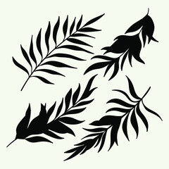Tropical leaf collection with silhouette style