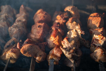 grilled meat kebab. traditional picnic with outdoor barbecue in summer. The concept of summer outdoor recreation.