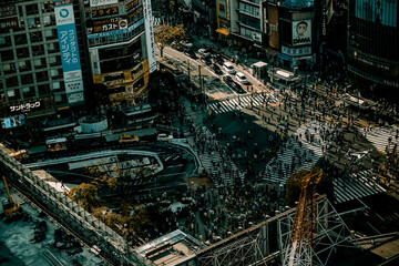 Fototapeta premium 渋谷駅前の町並み
