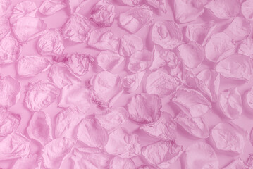 Pink petals of the rose flower. Pastel toned monochrome background.