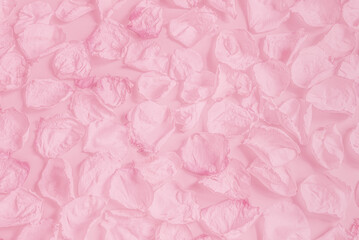 Obraz na płótnie Canvas Pink petals of the rose flower. Pastel toned monochrome background.