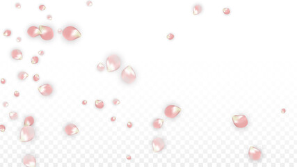 Pink Vector Realistic Petals Falling on Transparent Background.  Spring Romantic Flowers Illustration. Flying Petals. Sakura Spa Design. Blossom Confetti. Design Elements for Wedding Decoration.