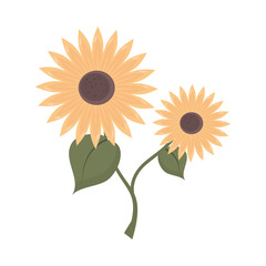 sunflowers nature icon