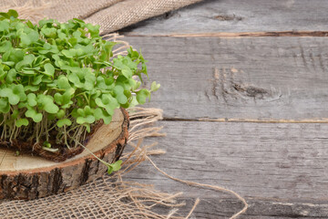 Close-up of arugula on a natural wooden backing and burlap.