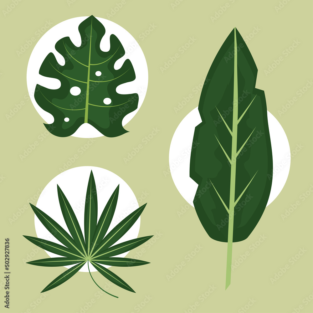 Poster tropical leaves icons