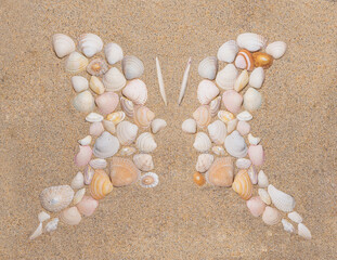 Fototapeta na wymiar Butterfly or two profile side silhouette created of sea shells on sand background. Top view optical illusion appropriate to illustrate human friendship, relationship, emotions and communication.