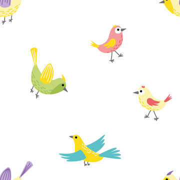Bird. Summer cute seamless pattern with colorful birds. Flat, cartoon, vector