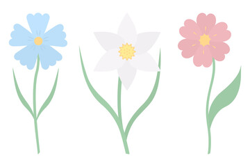 Flowers. Set of vector illustrations. Cornflower, daffodil. Delicate plants with green leaves. Flowering plants with a yellow heart. Flat style. Isolated background. Idea for web design, invitations