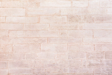 The wall is made of light beige stone blocks as a background.