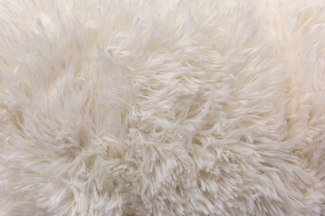 The texture is formed by white villi of carpet as a background. It looks like animal fur.