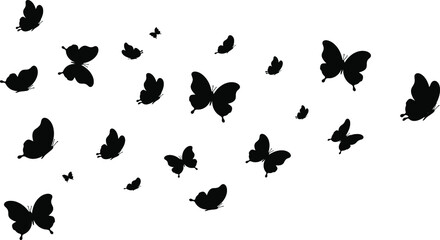Obraz na płótnie Canvas Butterflies flying around with copy space, isolated on white background, silhouette of different sizes butterfly vector
