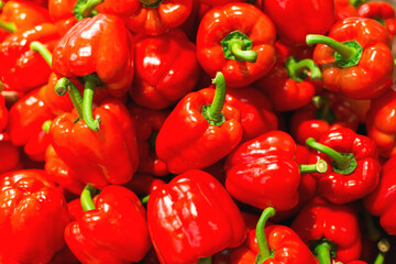 Many red peppers as background, texture, pattern.