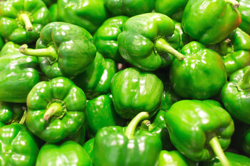 Obraz na płótnie Canvas Many green peppers as background, texture, pattern.
