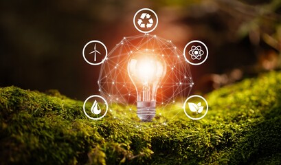 Green forest with moss and grass with lightbulb. Symbols of sustainable and eco friendly energy...