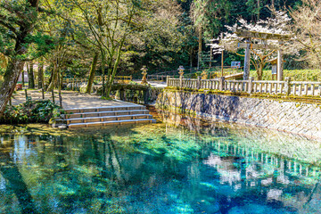 春の別府弁天池　山口県美祢市　Beppu Benten Pond in Spring. Yamaguchi-ken Mine city.