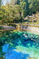 Fototapeta na wymiar 春の別府弁天池　山口県美祢市　Beppu Benten Pond in Spring. Yamaguchi-ken Mine city.