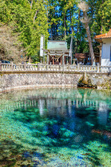 春の別府弁天池　山口県美祢市　Beppu Benten Pond in Spring. Yamaguchi-ken Mine city.
