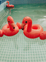 Pink flamingo in the pool, cocktail coaster, chill out, summer vacation