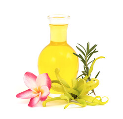 Rosemary ,ylang ylang and plumeria flowers and oil isolated on white background.