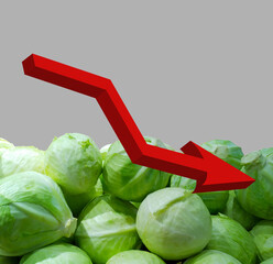 Red sign of arrow down on pile of Cabbage background. Rising vegetable sprices. Food. Grocery...