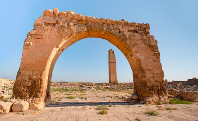 Ruins of the ancient city of Harran - Urfa , Turkey (Mesopotamia) - Old astronomy tower