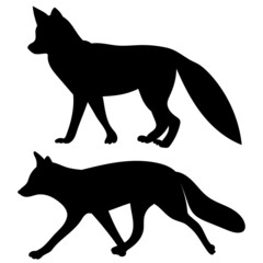 fox silhouette, on white background, isolated, vector
