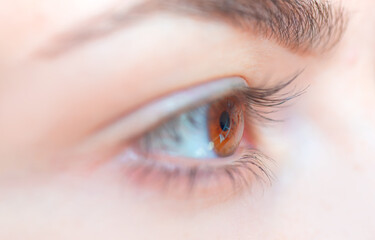 Close up image of beautiful girl  hazel eye 