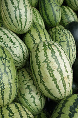 displaying many fresh water melon 