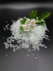 White blossom with green leaves on crushed glass with a black background