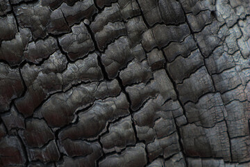 the texture of charred wood. soot .coals