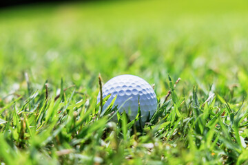 ゴルフ場のラフに落ちた白いボール