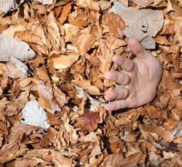 submerged hand of young man and many leaves