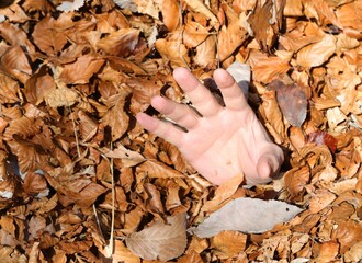 hand of the drowned individual of the dry leaves asking for help too late