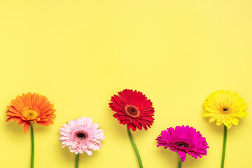 Bouquet of gerberas on yellow background Top view Flat lay Holiday greeting card Happy moter's day, 8 March, Valentine's day, Easter concept Copy space Mock up