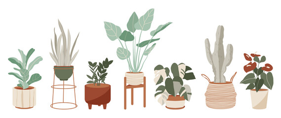 Potted plants collection on white background. Set of interior house plants with tropical plants, flowers, cactus, leaves. Different vintage indoor decor illustration for decoration, art, prints.