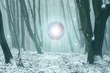 magical glowing orbs of light floating in a forest. In a mysterious, foggy, winter forest.