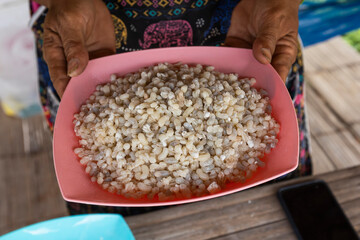 villager's hands hold a plate that supports red ant eggs collected from the forest to sell