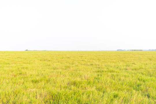 A Vast Expanse Of Grassland Under The Sky