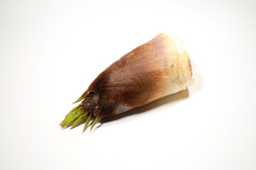 新鮮な筍のイメージ画像	