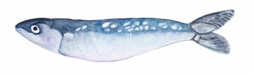 Watercolor illustration of fish.