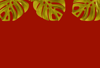 Top veiw, Bright fresh monstera leaf gold color frame isolated on red background for stock photo or...