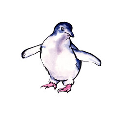 Australian birds. Watercolor sketch. - 502952608