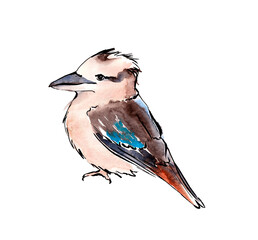 Australian birds. Watercolor sketch. - 502952610
