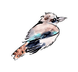 Australian birds. Watercolor sketch. - 502952611