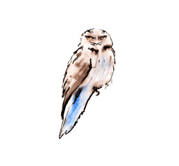 Australian birds. Watercolor sketch. - 502952618