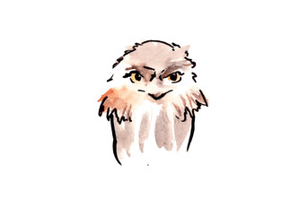 Australian birds. Watercolor sketch. - 502952620